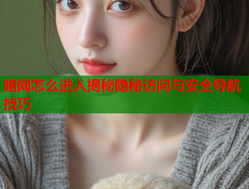 暗网怎么进入揭秘隐秘访问与安全导航技巧  第1张