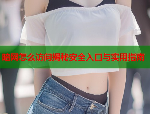 暗网怎么访问揭秘安全入口与实用指南  第1张