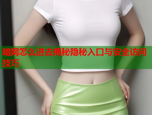 暗网怎么进去揭秘隐秘入口与安全访问技巧  第1张