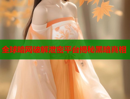 全球暗网破解泄密平台揭秘黑暗真相  第1张