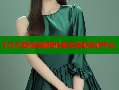 千万不要搜暗网揭秘最全隐秘资源平台  第1张