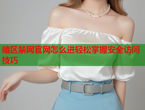 暗区禁网官网怎么进轻松掌握安全访问技巧  第1张