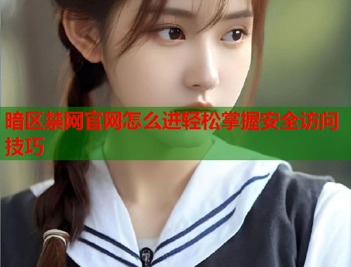 暗区禁网官网怎么进轻松掌握安全访问技巧  第2张