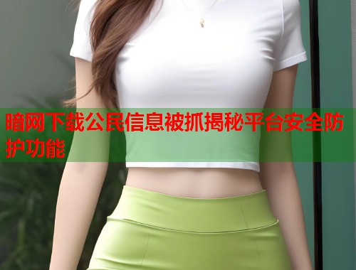 暗网下载公民信息被抓揭秘平台安全防护功能  第1张