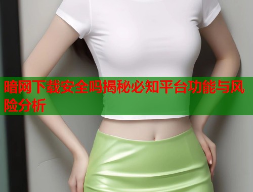 暗网下载安全吗揭秘必知平台功能与风险分析  第1张