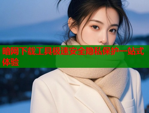 暗网下载工具极速安全隐私保护一站式体验  第1张