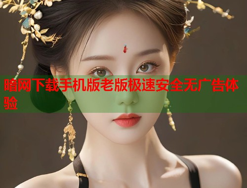 暗网下载手机版老版极速安全无广告体验  第1张
