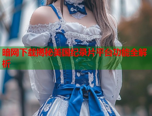 暗网下载揭秘美国纪录片平台功能全解析  第1张