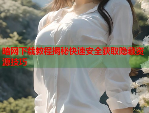 暗网下载教程揭秘快速安全获取隐藏资源技巧  第1张