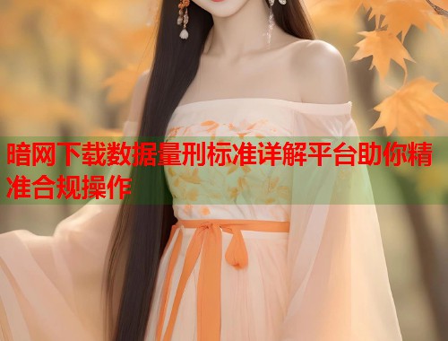 暗网下载数据量刑标准详解平台助你精准合规操作  第1张