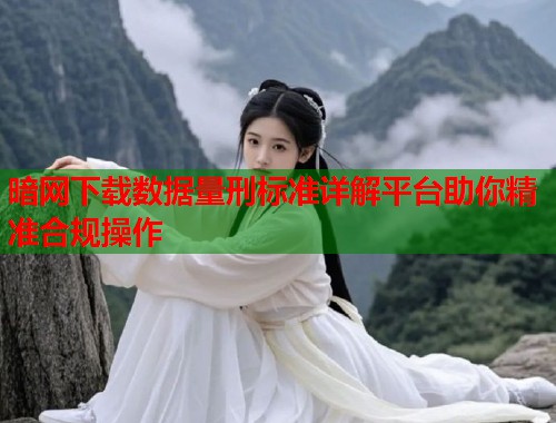 暗网下载数据量刑标准详解平台助你精准合规操作  第2张
