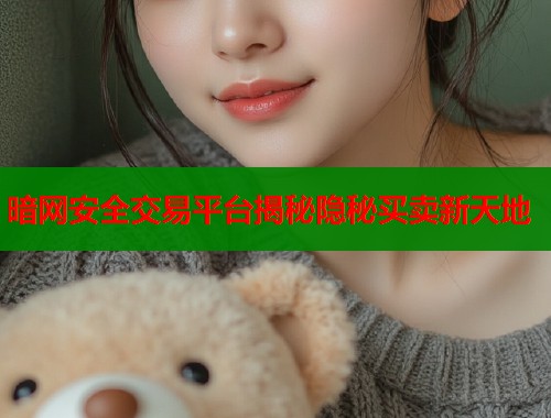 暗网安全交易平台揭秘隐秘买卖新天地  第2张