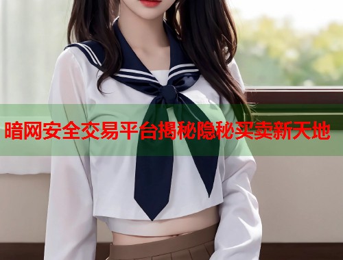 暗网安全交易平台揭秘隐秘买卖新天地  第1张
