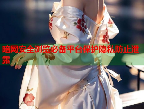 暗网安全浏览必备平台保护隐私防止泄露  第1张