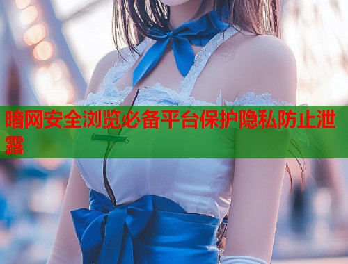 暗网安全浏览必备平台保护隐私防止泄露  第2张