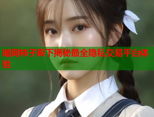 暗网柿子殿下揭秘最全隐私交易平台体验  第1张