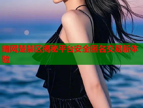 暗网楚禁区揭秘平台安全匿名交易新体验  第1张