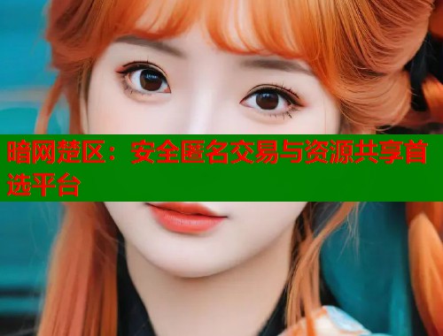 暗网楚区：安全匿名交易与资源共享首选平台  第1张