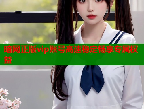 暗网正版vip账号高速稳定畅享专属权益  第1张