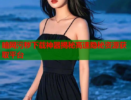 暗网污秽下载神器揭秘高速隐秘资源获取平台  第2张