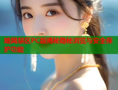 暗网禁区PC版揭秘隐秘浏览与安全保护功能  第1张