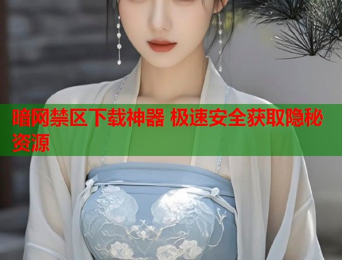 暗网禁区下载神器 极速安全获取隐秘资源  第2张