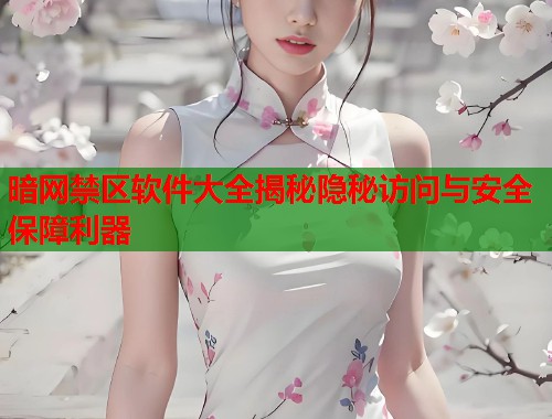 暗网禁区软件大全揭秘隐秘访问与安全保障利器  第1张
