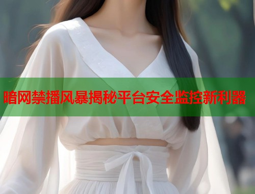 暗网禁播风暴揭秘平台安全监控新利器  第1张