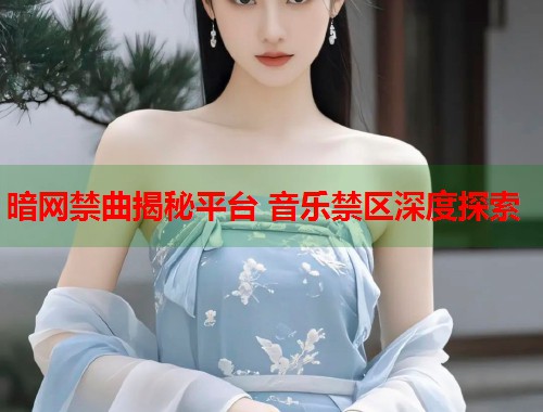 暗网禁曲揭秘平台 音乐禁区深度探索  第1张