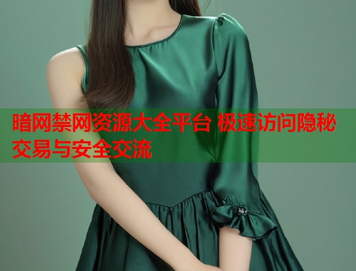 暗网禁网资源大全平台 极速访问隐秘交易与安全交流  第1张