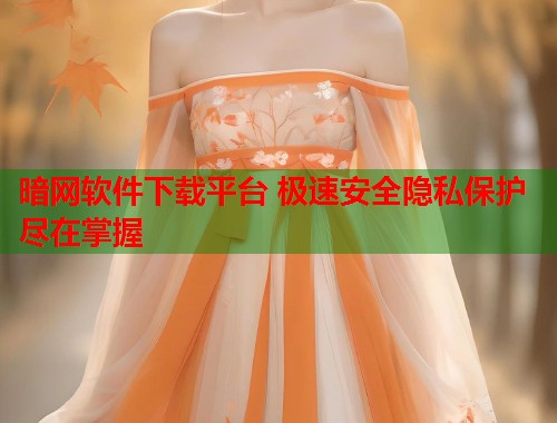 暗网软件下载平台 极速安全隐私保护尽在掌握  第1张