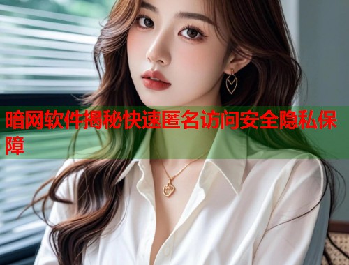 暗网软件揭秘快速匿名访问安全隐私保障  第1张