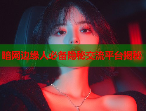 暗网边缘人必备隐秘交流平台揭秘  第1张