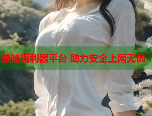 禁暗网利器平台 助力安全上网无忧  第1张