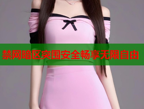 禁网暗区突围安全畅享无限自由  第1张