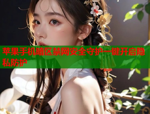 苹果手机暗区禁网安全守护一键开启隐私防护  第1张