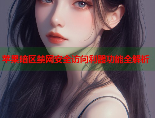苹果暗区禁网安全访问利器功能全解析  第1张
