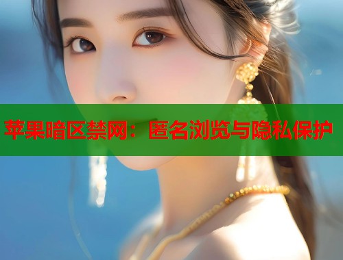 苹果暗区禁网：匿名浏览与隐私保护  第1张