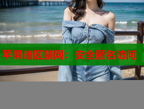 苹果暗区禁网：安全匿名访问  第1张
