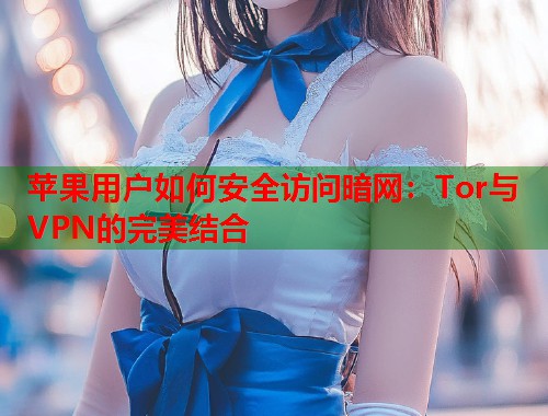 苹果用户如何安全访问暗网：Tor与VPN的完美结合  第1张
