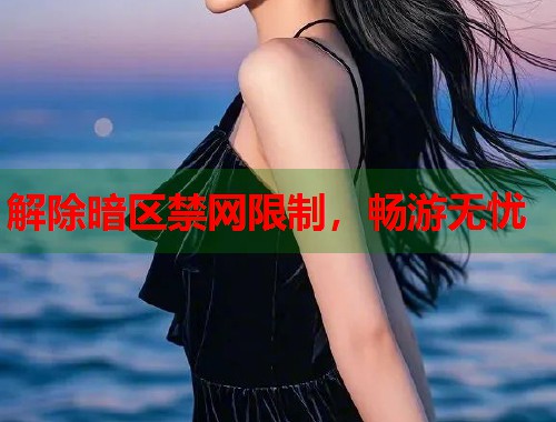 解除暗区禁网限制，畅游无忧  第1张