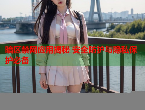 暗区禁网应用揭秘 安全防护与隐私保护必备  第1张