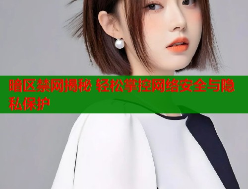 暗区禁网揭秘 轻松掌控网络安全与隐私保护  第1张