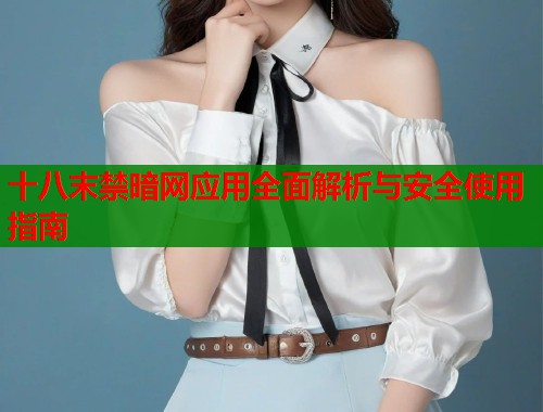 十八末禁暗网应用全面解析与安全使用指南  第1张