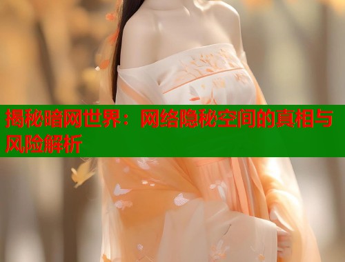 揭秘暗网世界：网络隐秘空间的真相与风险解析  第2张