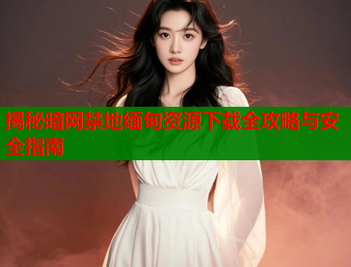揭秘暗网禁地缅甸资源下载全攻略与安全指南  第2张