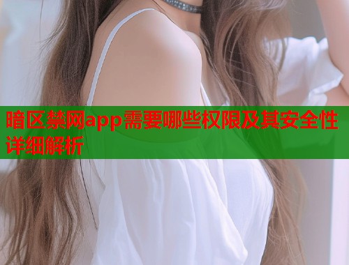 暗区禁网app需要哪些权限及其安全性详细解析  第1张