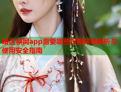 暗区禁网app需要哪些权限详细解析与使用安全指南  第1张
