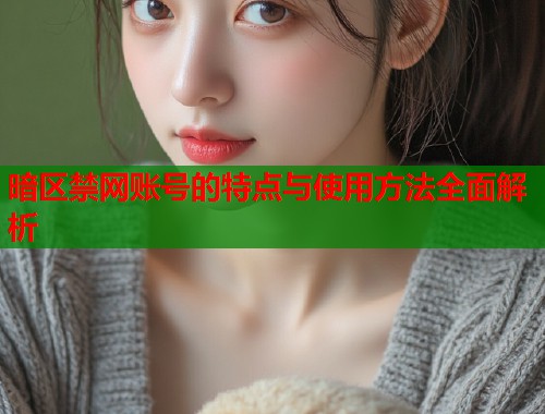 暗区禁网账号的特点与使用方法全面解析  第1张