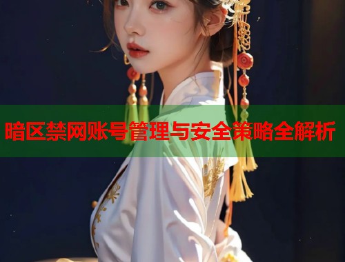 暗区禁网账号管理与安全策略全解析  第1张